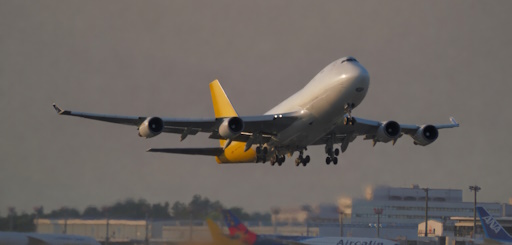 Airline transportation services